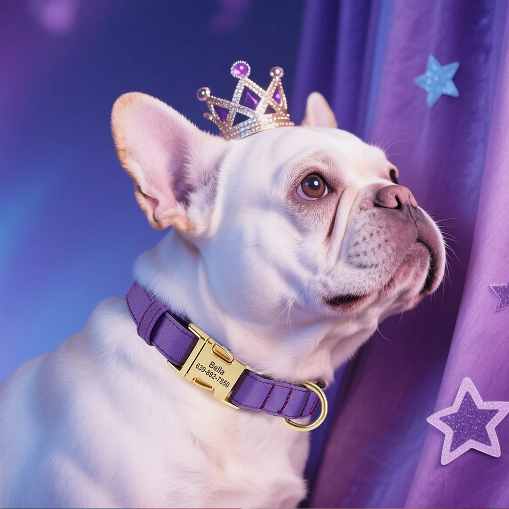 Personalized Dog Collar Waterproof Nylon Soft Padded