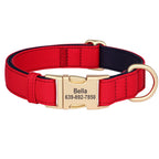 Personalized Waterproof Padded Dog Collar