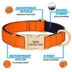 Personalized Waterproof Padded Dog Collar