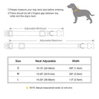 Personalized waterproof padded dog collar image 6 | The All Express