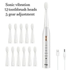 Rechargeable IPX7 Electric Toothbrush