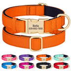 Personalized waterproof padded dog collar image 10 | The All Express