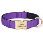 Personalized Waterproof Padded Dog Collar
