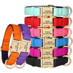 Personalized Waterproof Padded Dog Collar