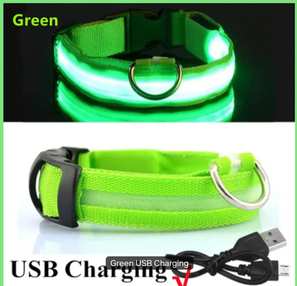 Dog Anti Lost Safety Glowing Collar Multi-Color Pendant Outdoor Waterproof Warning Led Flashing Light Strip Pet Traction Supplie