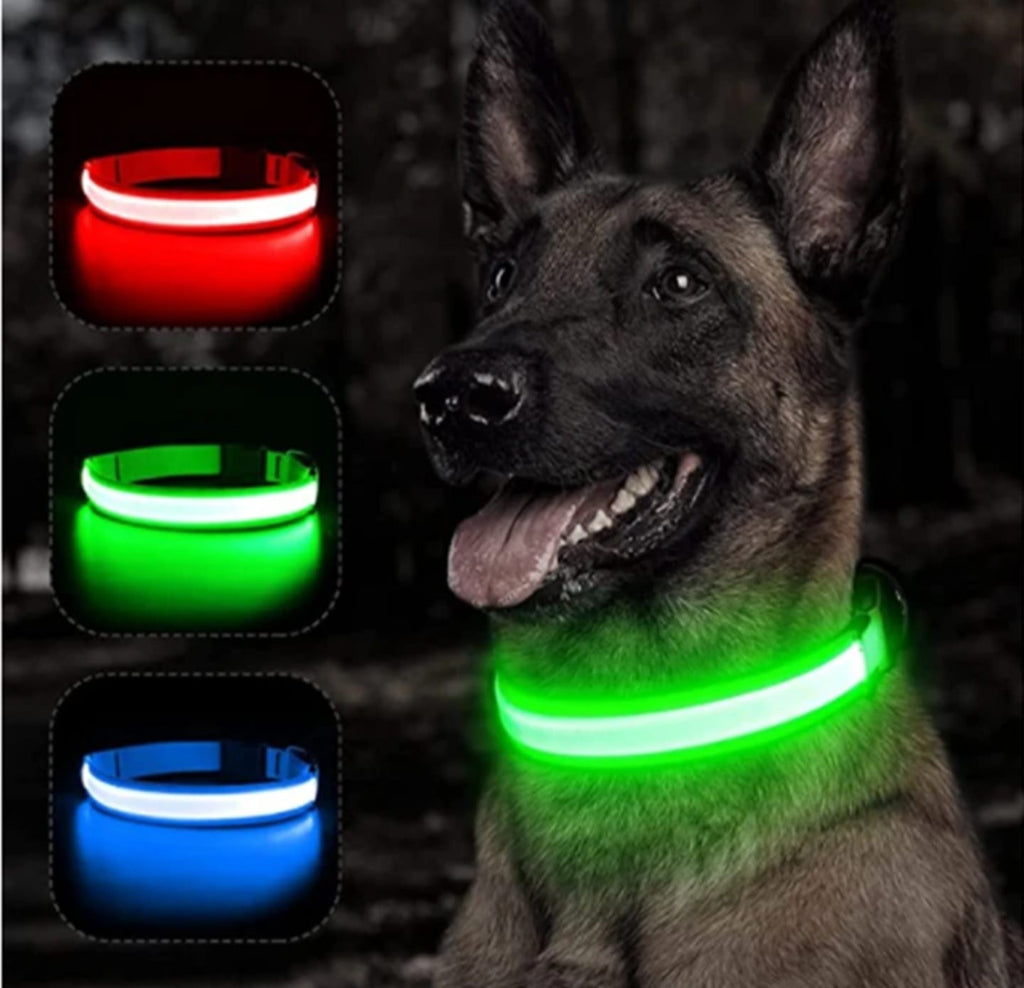 Dog Anti Lost Safety Glowing Collar Multi-Color Pendant Outdoor Waterproof Warning Led Flashing Light Strip Pet Traction Supplie